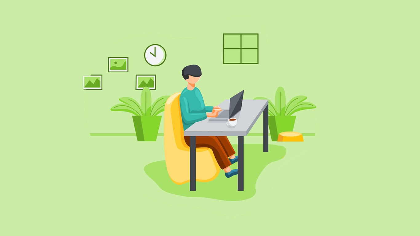 Web Designer